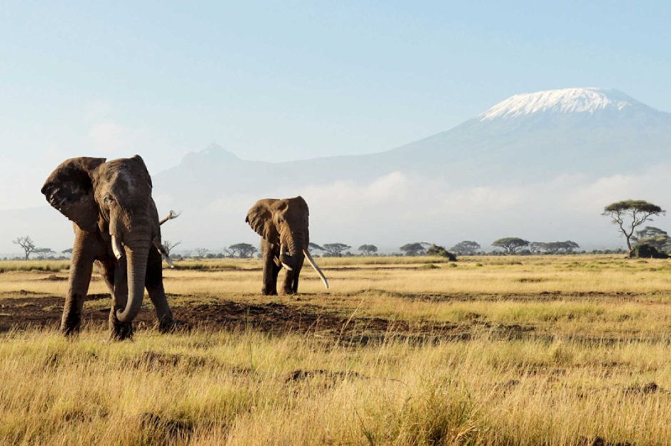 Win An 8 Night Luxury Kenya Safari