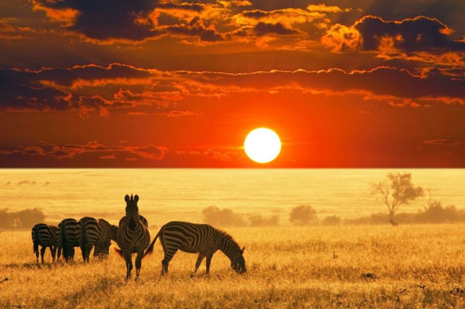 Win An 8 Night Luxury Kenya Safari