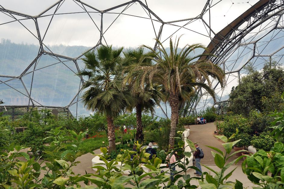 The Eden Project Adult Tickets
