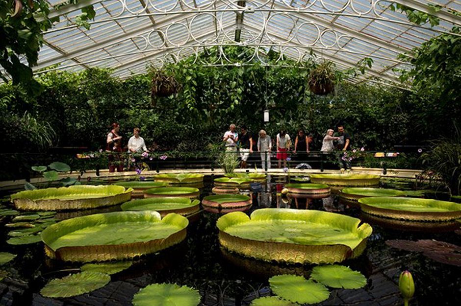 Kew Gardens Adult Tickets From £36.00 Great Britain Deals