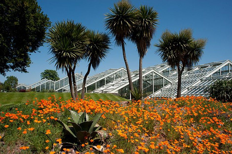 Kew Gardens Adult Tickets From £36.00 Great Britain Deals