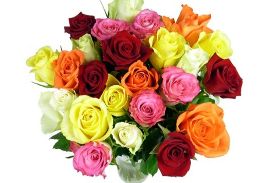 30 Mixed Petite Roses