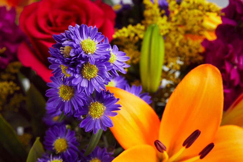 Floral Ratatouille