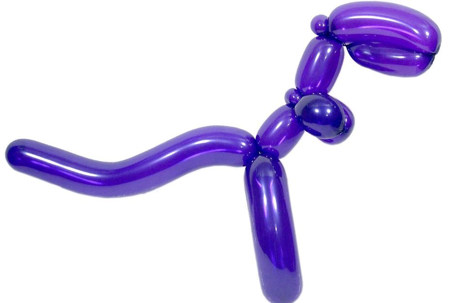 Balloon Modelling Diploma