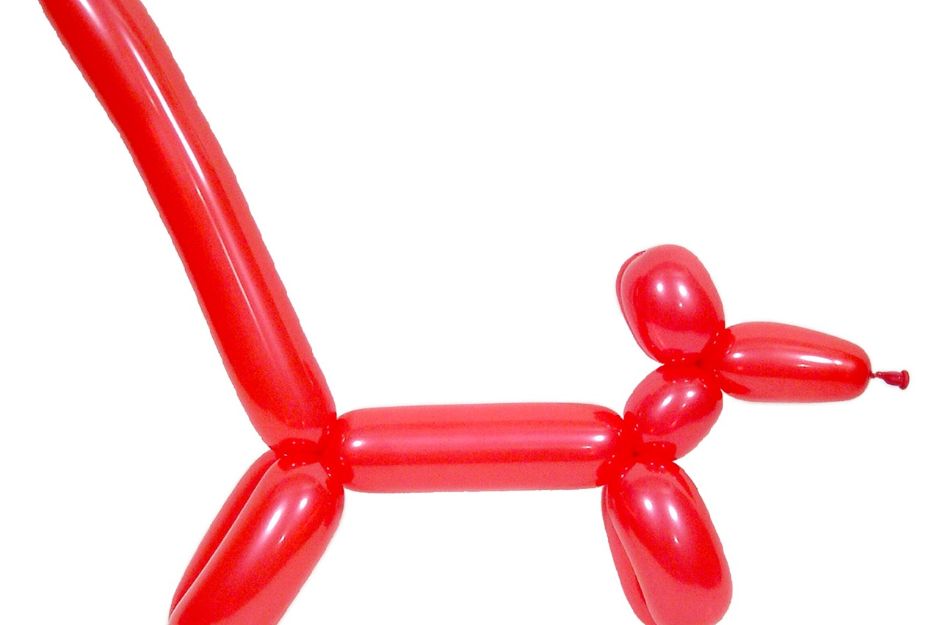 Balloon Modelling Diploma