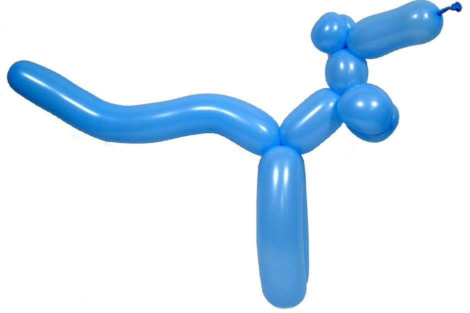 Balloon Modelling Diploma