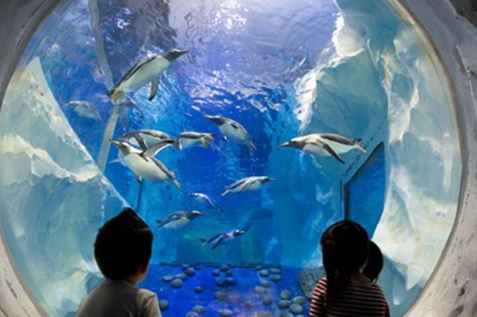 Sealife Birmingham Adult + Toddler Ticket