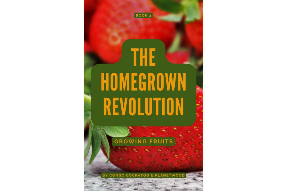 The Homegrown Revolution - Book 2