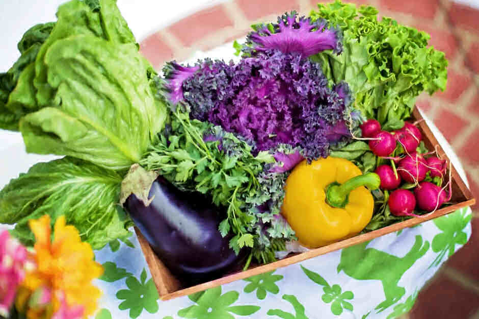 Online Vegetable Garden Course