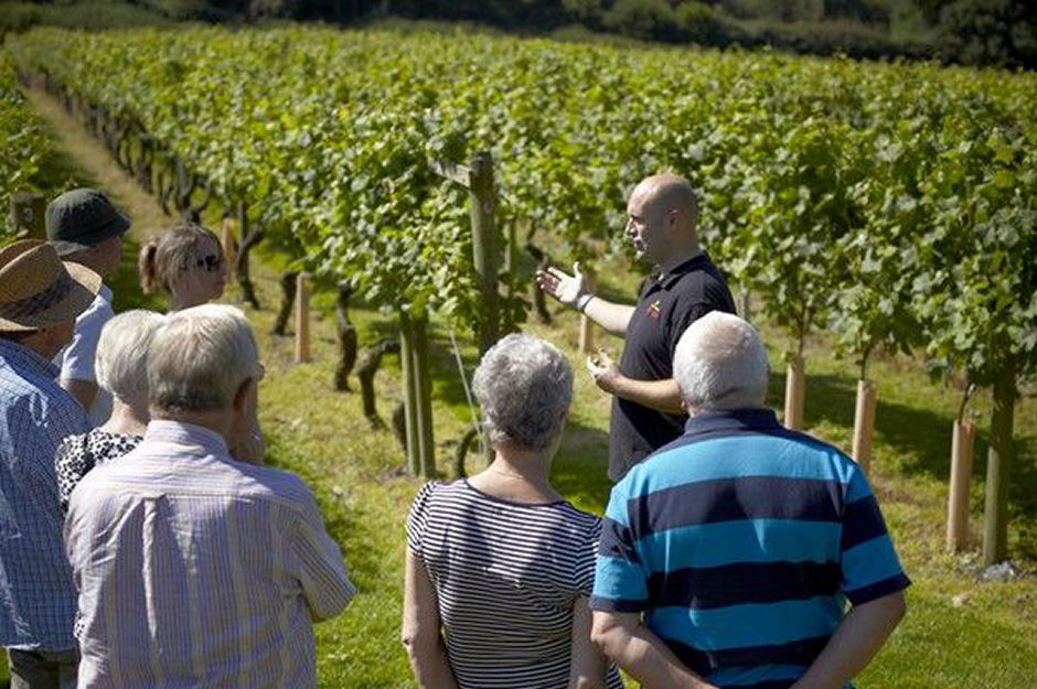 Garden of England Vineyard Retreat