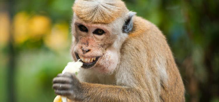 Animal Encounters at London Zoo